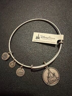 Alex and Ani Bracelet Disney Park Walt Cinderella Castle Silver Tone Bangle
